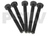 100-323  M3x23 Socket Head Special E5  